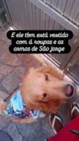 Hércules