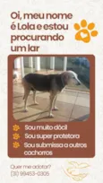 Lola