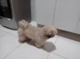 Billy
