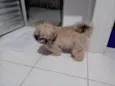 Billy