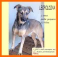Leopoldina