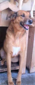 Júlia