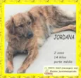 Jordana