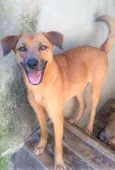 Filomena