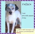 Faísca