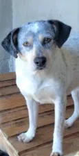 Faísca