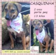 Casquinha