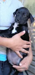 Marcos