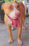 Mel