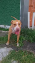 Mel