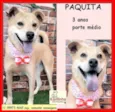 Paquita