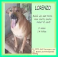 Lorenzo