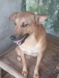 Lorenzo