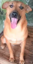 Lorenzo