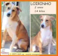 Loirinho