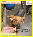 Letícia