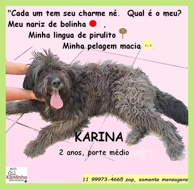 Cachorro ra a SRD-ViraLata idade 2 anos nome Karina