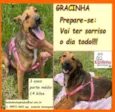 Gracinha