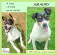 Amaury