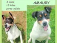 Amaury