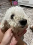 Jhuly