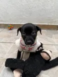 Bianca