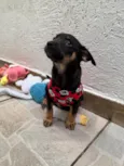 Bernardo