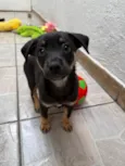 Bernardo