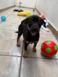 Bernardo