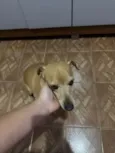 Tedy