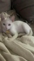Mia