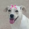 Sol