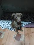 Lili