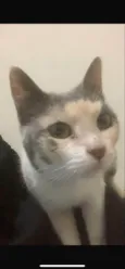 Nina