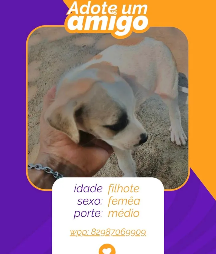 Cachorro ra a SRD-ViraLata idade 2 a 6 meses nome filhotes
