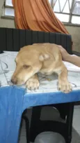 Não tem
