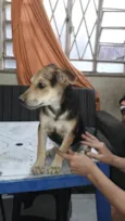 Não tem