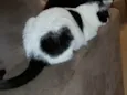 Mia
