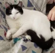 Mia