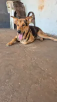 Tuta