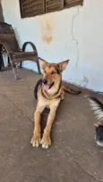 Tuta