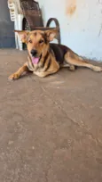 Tuta
