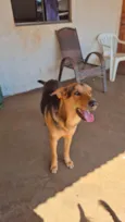 Tuta