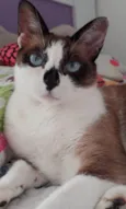 KIRA