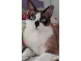 KIRA