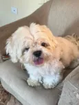 Bartho