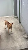 Jack, porém tem pouco tempo com esse nome