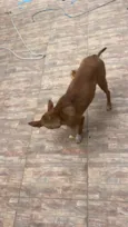 Jack, porém tem pouco tempo com esse nome