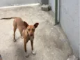Jack, porém tem pouco tempo com esse nome