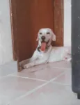Bob
